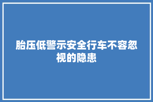 胎压低警示安全行车不容忽视的隐患