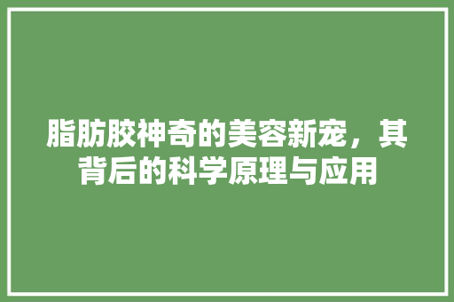 脂肪胶神奇的美容新宠，其背后的科学原理与应用