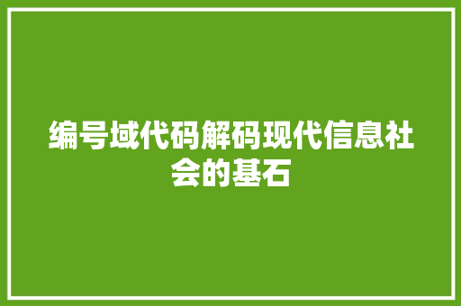 编号域代码解码现代信息社会的基石