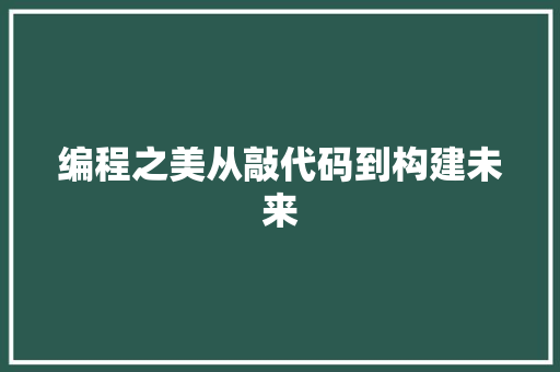 编程之美从敲代码到构建未来