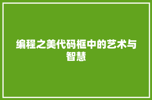 编程之美代码框中的艺术与智慧