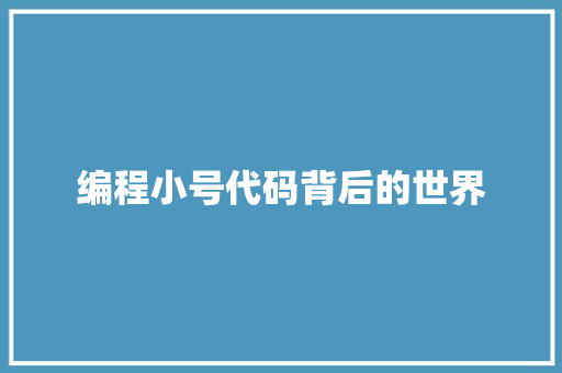 编程小号代码背后的世界
