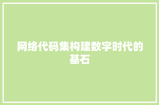 网络代码集构建数字时代的基石