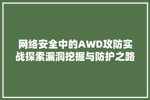 网络安全中的AWD攻防实战探索漏洞挖掘与防护之路