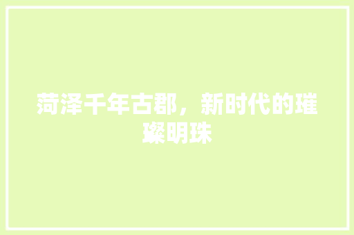 菏泽千年古郡，新时代的璀璨明珠