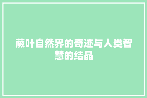 蕨叶自然界的奇迹与人类智慧的结晶