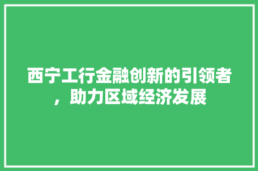 西宁工行金融创新的引领者，助力区域经济发展
