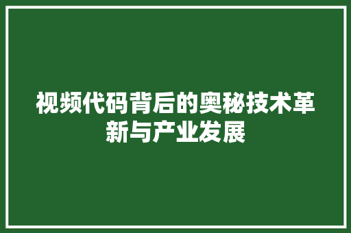 视频代码背后的奥秘技术革新与产业发展