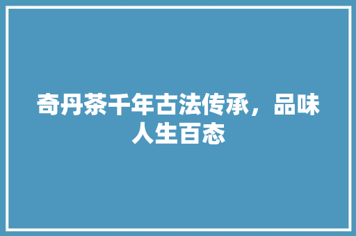 奇丹茶千年古法传承，品味人生百态