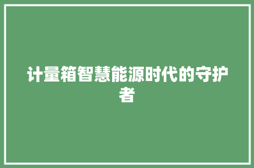 计量箱智慧能源时代的守护者