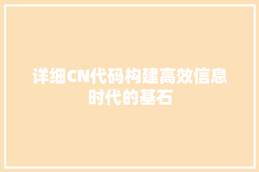 详细CN代码构建高效信息时代的基石