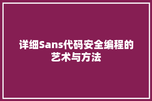 详细Sans代码安全编程的艺术与方法