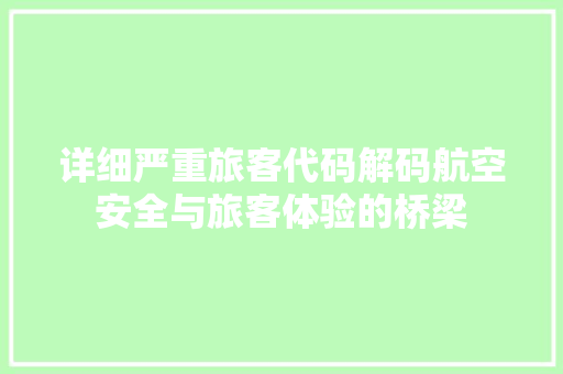 详细严重旅客代码解码航空安全与旅客体验的桥梁