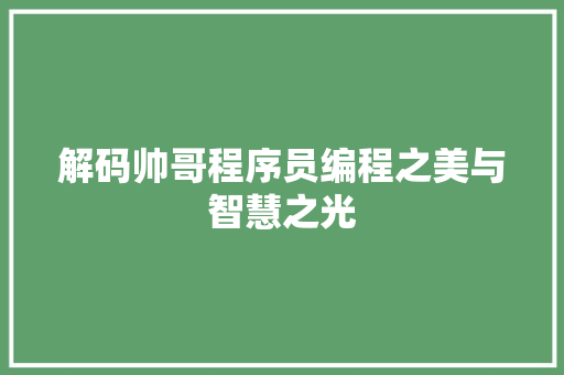 解码帅哥程序员编程之美与智慧之光
