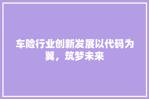 车险行业创新发展以代码为翼，筑梦未来