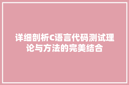 详细剖析C语言代码测试理论与方法的完美结合