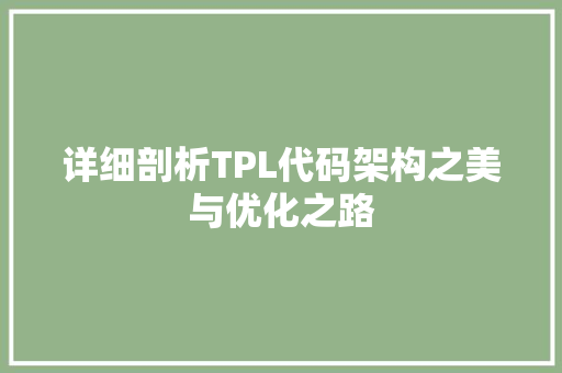 详细剖析TPL代码架构之美与优化之路
