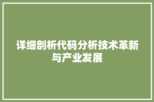 详细剖析代码分析技术革新与产业发展