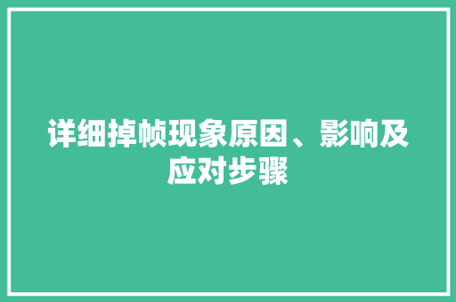 详细掉帧现象原因、影响及应对步骤