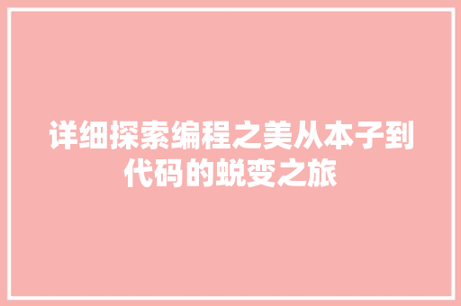 详细探索编程之美从本子到代码的蜕变之旅