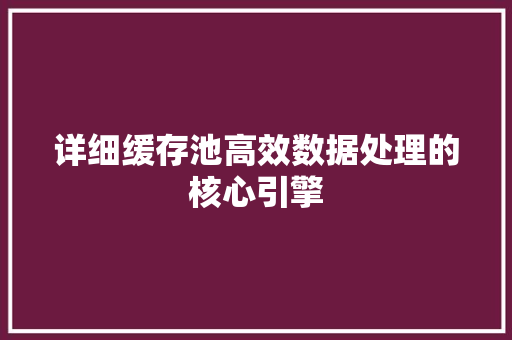 详细缓存池高效数据处理的核心引擎