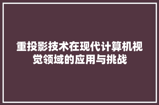 重投影技术在现代计算机视觉领域的应用与挑战