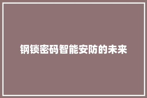 钢锁密码智能安防的未来