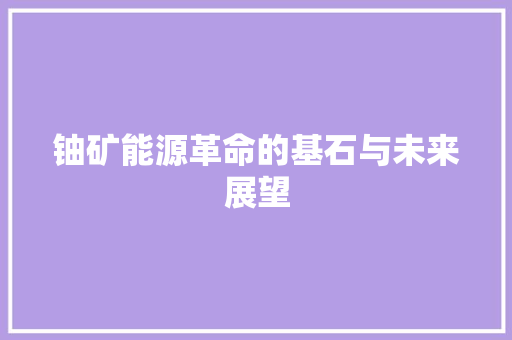 铀矿能源革命的基石与未来展望