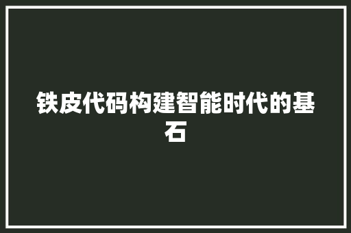 铁皮代码构建智能时代的基石
