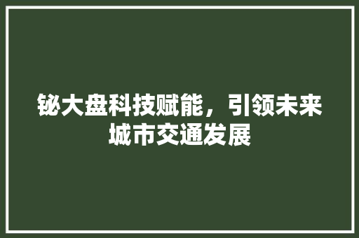铋大盘科技赋能，引领未来城市交通发展