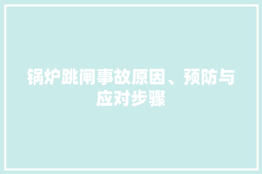 锅炉跳闸事故原因、预防与应对步骤