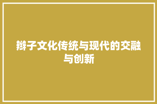 辫子文化传统与现代的交融与创新