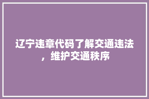 辽宁违章代码了解交通违法，维护交通秩序