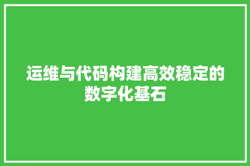 运维与代码构建高效稳定的数字化基石