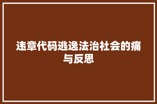 违章代码逃逸法治社会的痛与反思
