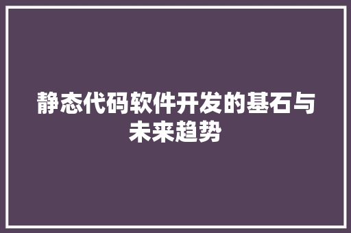 静态代码软件开发的基石与未来趋势