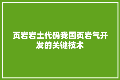 页岩岩土代码我国页岩气开发的关键技术