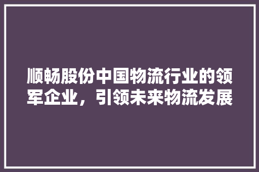 顺畅股份中国物流行业的领军企业，引领未来物流发展新格局
