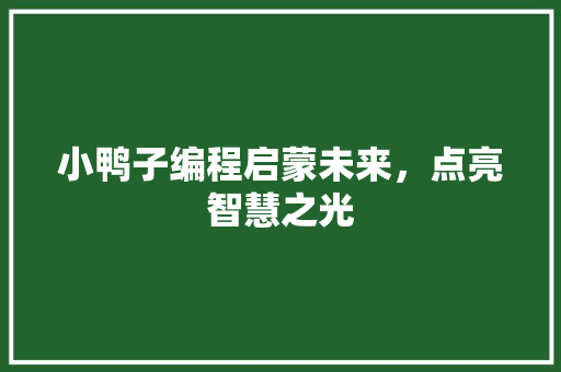 小鸭子编程启蒙未来，点亮智慧之光