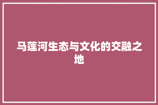 马莲河生态与文化的交融之地