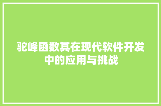 驼峰函数其在现代软件开发中的应用与挑战