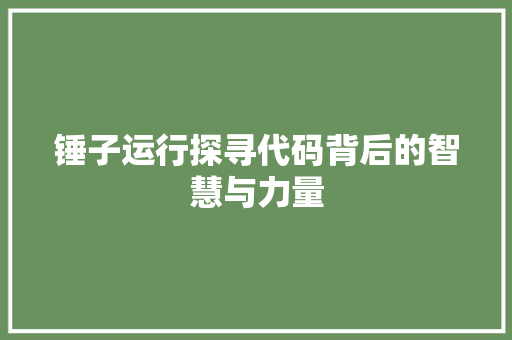 锤子运行探寻代码背后的智慧与力量