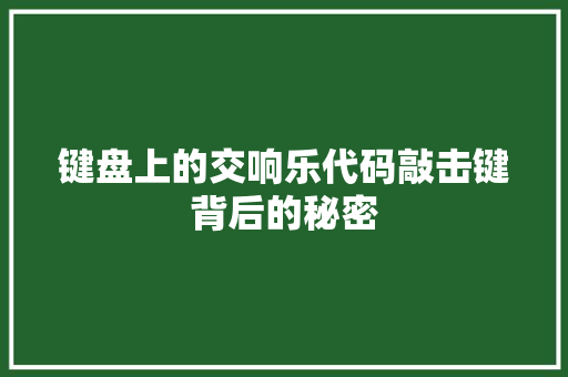键盘上的交响乐代码敲击键背后的秘密
