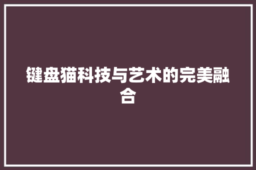 键盘猫科技与艺术的完美融合