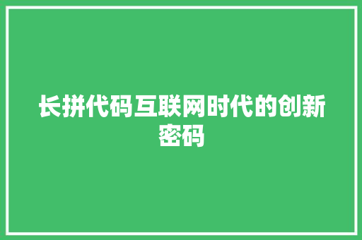 长拼代码互联网时代的创新密码