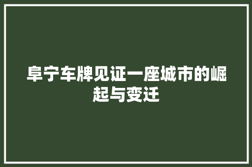 阜宁车牌见证一座城市的崛起与变迁