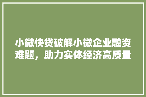 小微快贷破解小微企业融资难题，助力实体经济高质量发展