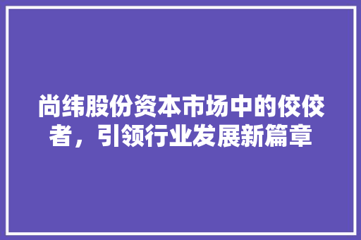 尚纬股份资本市场中的佼佼者，引领行业发展新篇章