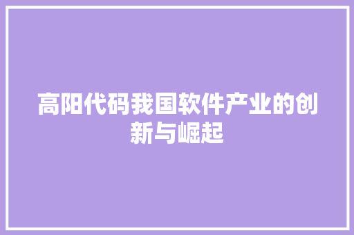 高阳代码我国软件产业的创新与崛起