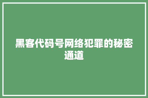 黑客代码号网络犯罪的秘密通道